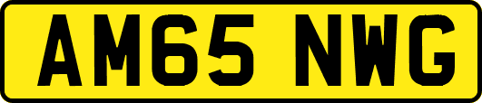 AM65NWG