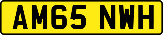 AM65NWH