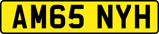 AM65NYH