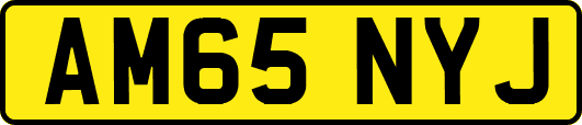 AM65NYJ