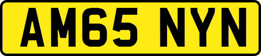 AM65NYN