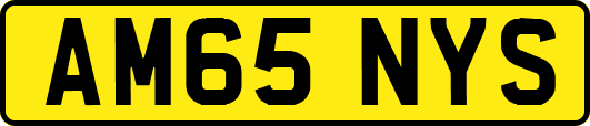 AM65NYS