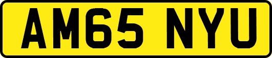 AM65NYU