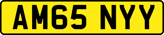 AM65NYY