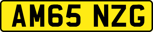 AM65NZG