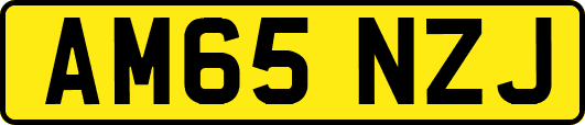 AM65NZJ