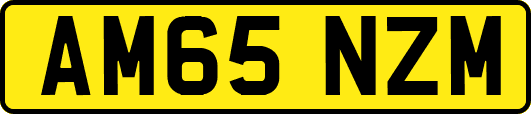 AM65NZM