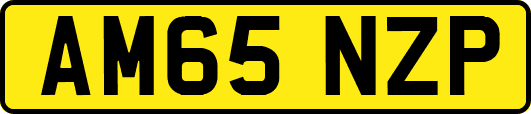 AM65NZP