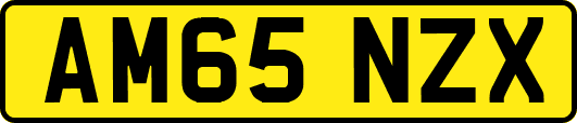 AM65NZX