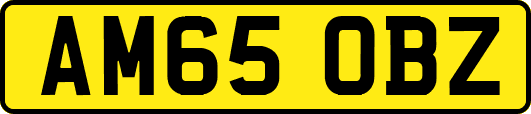 AM65OBZ