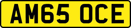 AM65OCE