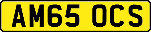 AM65OCS