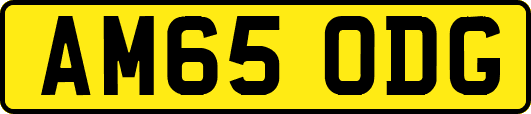 AM65ODG
