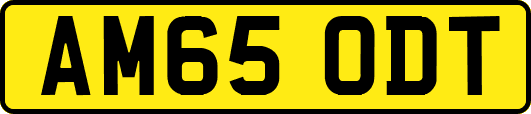 AM65ODT