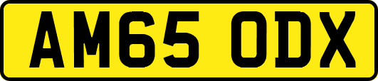 AM65ODX