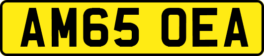 AM65OEA