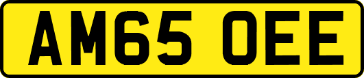 AM65OEE