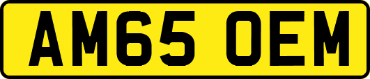 AM65OEM