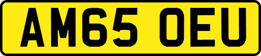 AM65OEU