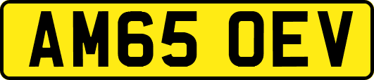 AM65OEV