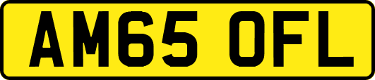 AM65OFL