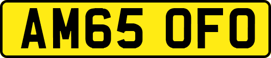 AM65OFO