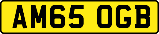 AM65OGB