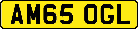 AM65OGL