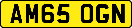 AM65OGN