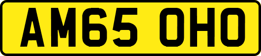 AM65OHO