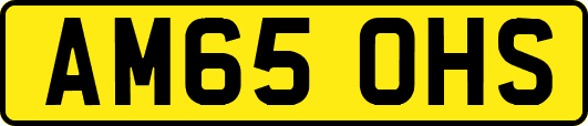 AM65OHS