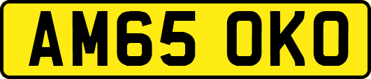 AM65OKO