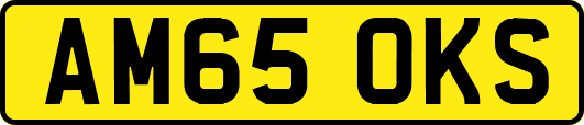 AM65OKS