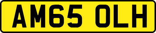 AM65OLH