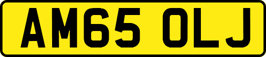 AM65OLJ