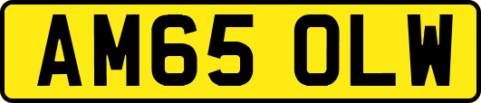 AM65OLW