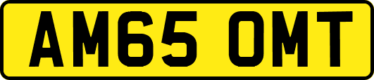 AM65OMT