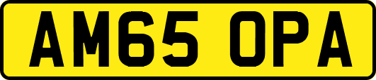 AM65OPA
