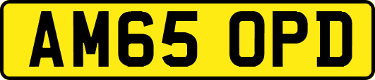 AM65OPD