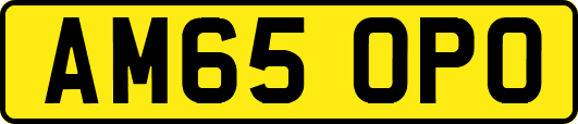 AM65OPO