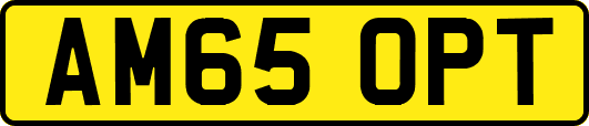 AM65OPT