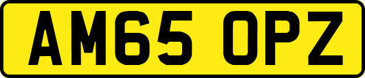 AM65OPZ