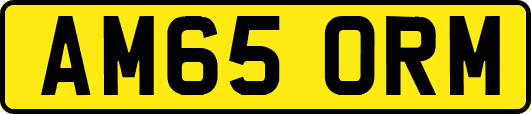 AM65ORM