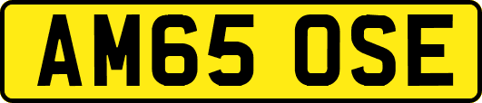 AM65OSE