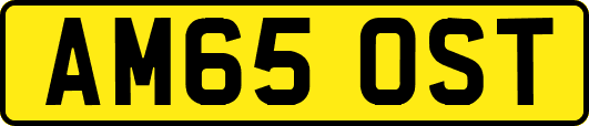 AM65OST