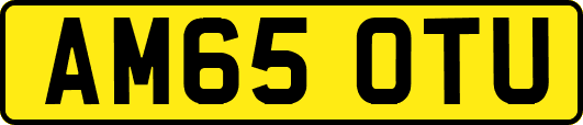 AM65OTU