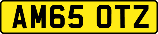 AM65OTZ