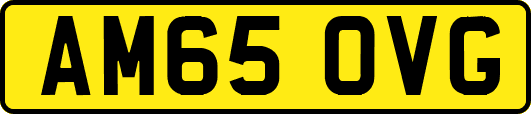 AM65OVG