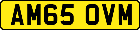 AM65OVM