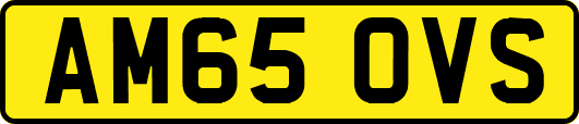 AM65OVS